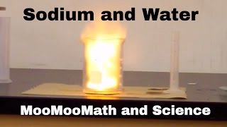 Sodium in water explosion Chemical Reaction [upl. by Ayiotal]