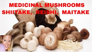 Miracle Medicinal Mushrooms Shiitake Mushrooms Reishi Maitake and Cordyceps [upl. by Aehtorod]