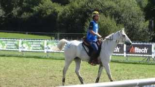 JEM 2014 Normandie endurance vu par un spectateur France Medaille dArgent [upl. by Eikcuhc]