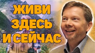 Экхарт Толле «Живи здесь и сейчас» Новая Аудиокнига Экхарта Толле и Никошо [upl. by Euton]