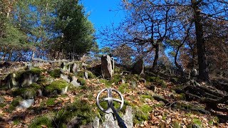 Among Spies  A Sunny Fall Day In The Woods [upl. by Linkoski]