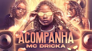 Mc Dricka  Seu Pa Vacilou DJ TH [upl. by Higginbotham299]