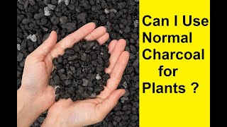 Benefits of Charcoal for Plants [upl. by Larry]