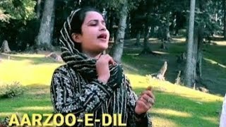 aarzoo e dil part 61 kashmiri drama [upl. by Alimrahs132]