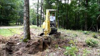 Mini excavator tree clearing [upl. by Kenna568]