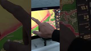 Simrad NSX Preview shorts [upl. by Ennis]