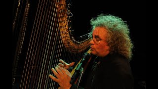 Andreas Vollenweider amp Friends  Stgo De Chile 1995 [upl. by Ahsilak942]