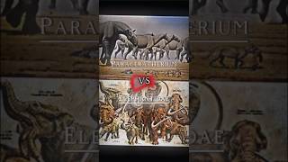 Paraceratherium VS Elephantidae edit prehistoricanimals battle [upl. by Philis]