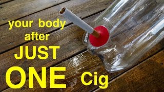 How Smoking Just 1 CIGARETTE Affects Your Lungs ● You Must See This [upl. by Orpheus793]