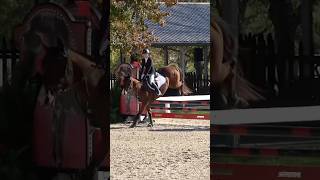 Have to post more showjump from hagyardvirl eventing horseriding showjumping blowthisaccountup [upl. by Kersten]