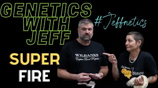 YOU WONT BELIEVE THIS SUPER FIRE DISCOVERY GENETICS WITH JEFF JEFFNETICS EPISODE 1 [upl. by Ainadi]