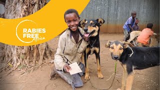 Rabies Free Africa Partnership [upl. by Wettam]