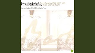 Sonata No3 in GMinor BWV 1029 Allegro [upl. by Fina]