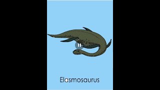 147  do you know about ELASMOSAURUS lets learn and color [upl. by Margy]