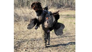 Minnesota spring turkey hunt 2023 [upl. by Harewood]