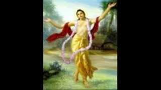 HH Sri Pundrik Goswami Ji Pravachan on RayaRamanand Mahaprabhu Samvad Part 3 [upl. by Yldarb561]