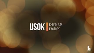 Usok  Chocolate Factory Lyrics Video [upl. by Andel]