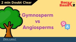 Angiosperms Vs Gymnosperms  Quick 2 min Comparison  Basic Concept  Slate and Pencil [upl. by Arther]