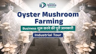 Oyster Mushroom Farming Business  Oyster Mushroom Cultivation  Business Idea [upl. by Madson]