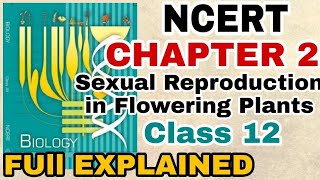 NCERT Ch2 Sexual Reproduction in Flowering plants PART2 class12 Bio Full Explanation BOARDSNEET [upl. by Kirkpatrick]