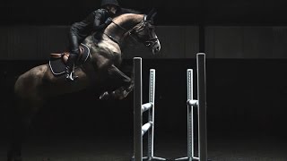 HampM Life  Sports Studio Horse Jumping with Malin Baryard [upl. by Waverly972]