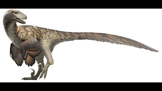 The Jurassic World Evolution of Dinosaurs Mammals and Rise of Birds Ancestors Part 14 [upl. by Alasdair]