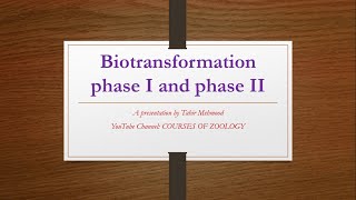 biotransformation phase I and phase II Reactions [upl. by Aisilef]