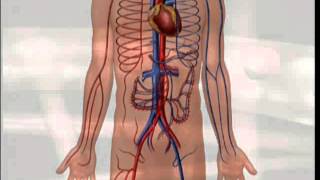 How to Measure Vital Signs [upl. by Nurat927]