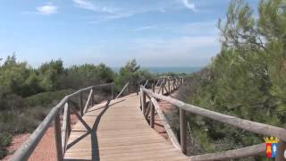 Conil de la Frontera [upl. by Silvan547]