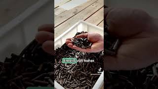 Insekten als Alternative herkömmlichen Proteinen Ja 🐛 landschafftwerte [upl. by Cynthla]