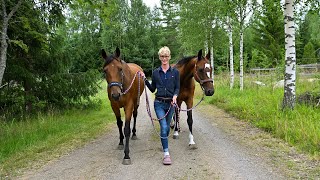 Maajussille morsian ohjelmasta tuttu Jani kehitteli itselleen lisätyön [upl. by Kaylyn]