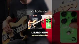 EHX Lizard King Bass Octave Fuzz Pedal Demo [upl. by Nerat]