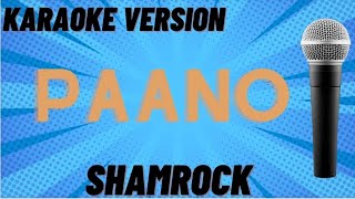 PAANOSHAMROCKCOVERED SONG2LITS MSTERVLOG [upl. by Atteuqal]