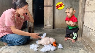 Monkey Mynu Naughty Destroy Teddy Bear and Moms Reaction [upl. by Amery661]