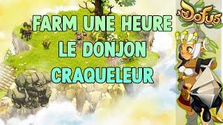 DOFUS Farm une HEURE le Donjon Craqueleur 3 Amakna [upl. by Ennovaj]