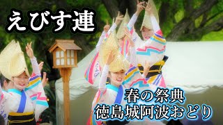 春の祭典 徳島城 阿波おどり えびす連阿波踊り [upl. by Ahk]