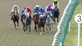 Rossdales Veterinary Surgeons Diamond Anniversary Handicap Stakes [upl. by Eiramlehcar791]