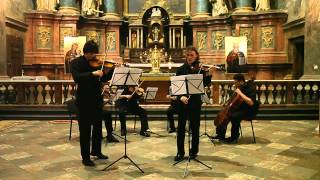 JS Bach  Double concerto 33  Smovzh Zavgorodnii Phoenix String Quartet [upl. by Moorish]