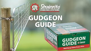 Strainrite  Gudgeon Guide [upl. by Thorn22]