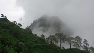 34 Biswa plot for sale near kasauli  kanda road  metalled road Himachal819 [upl. by Laniger]