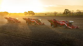 Kartoffelernte XXL  3x GRIMME VENTOR 4150 [upl. by O'Grady]