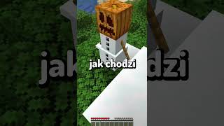 Najbardziej Nielogiczne Rzeczy W Minecraft 76 shorts [upl. by Sherill]