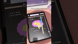 iPad note taking Dark mode 💗 aesthetic digital notes  take notes with me  iPad accessories  study [upl. by Yuji733]