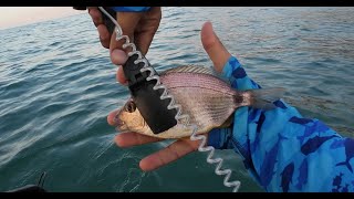 Dalgalı Denizde Belly Boat ile LRF Avı fish lrf ajing bellyboat floattube fishing [upl. by Brynne]