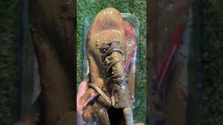 Adidas Football Boot’s Cleaning in ASMR ⚽️🧼 [upl. by Ennyroc]