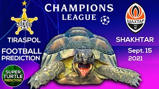 Sheriff Tiraspol vs Shakhtar Donetsk ⚽ UEFA Champions League 202122 🐢 Turtle Football Predictions [upl. by Hannus]