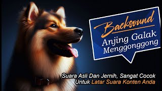 Suara Anjing Menggonggong Free Download [upl. by Keiko404]