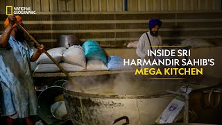 Inside Sri Harmandir Sahibs Mega Kitchen  India’s Mega Kitchens  National Geographic [upl. by Ronoh]