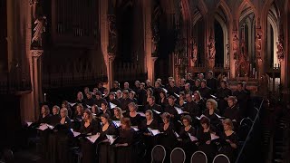 Barber  AGNUS DEI arr Adagio for Strings  Laurens Symfonisch  LIVE [upl. by Ahsiket]