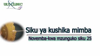 Kushika mimba Novemba 2024 Mzunguko siku 25 [upl. by Leggett33]